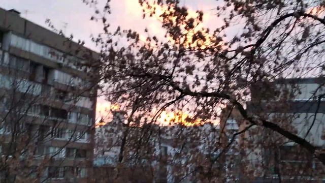 кливия расцвела 20. 03. 22. смотреть онлайн