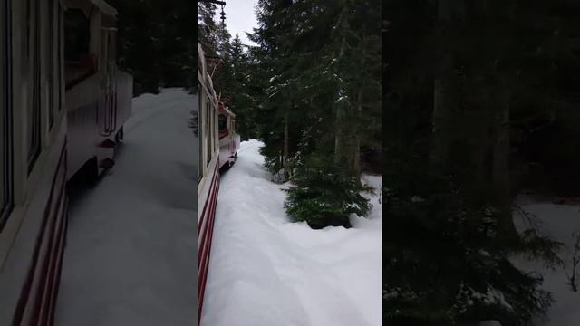 Узкоколейка Боржоми-Бакуриани смотреть онлайн