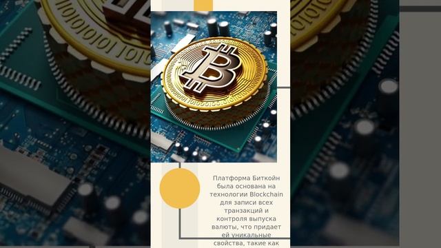 Биткойн: уникальное путешествие первой цифровой валюты и ведущей криптовалютной платформы