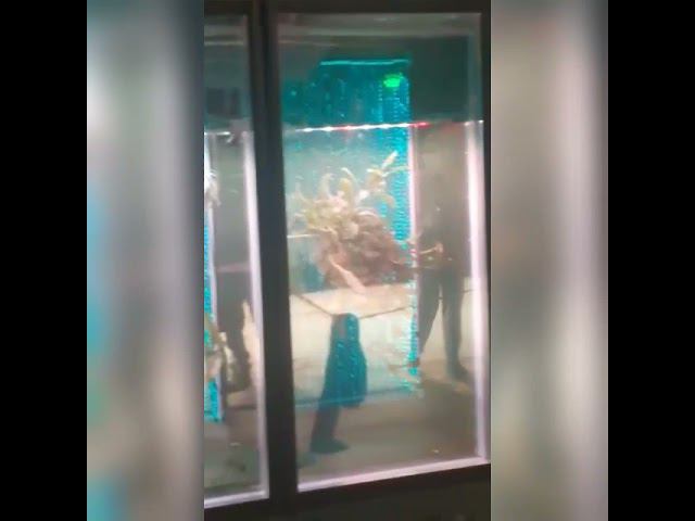 Пузырьковые колонны и панели подземная парковка парк Зарядье смотреть онлайн