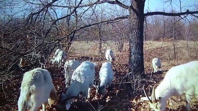 Не надо кидаться в любые объятья/Эдуард Асадов,1996г./ смотреть онлайн