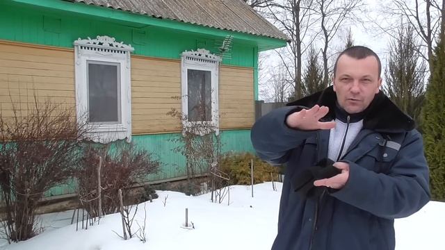 Что осталось после зимы? Ревизия запасов в погребе. смотреть онлайн