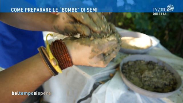 Le Piante Da Regalare Quando Nasce Un Bimbo