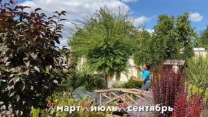 Ива ХАКУРО НИШИКИ ?✂️Мастер-класс по стрижке. Подготовка к зиме.