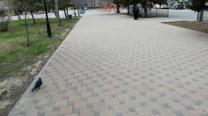 На сколько хватит Аккумулятора Электровелосипеда и Круиз Контроль Электровелосипеда