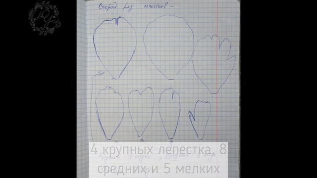 Пион разбор смотреть онлайн