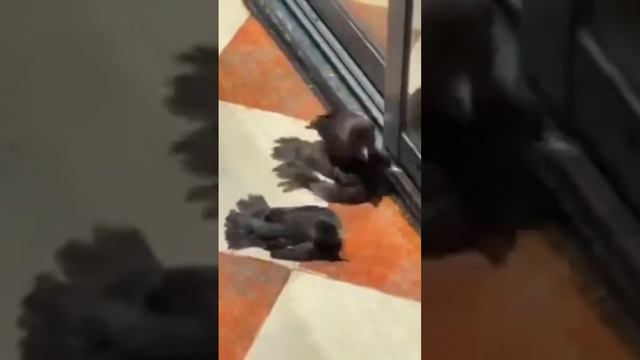 Актеры достойные Оскара!