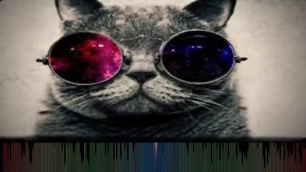 Starsailor _ Four To The Floor