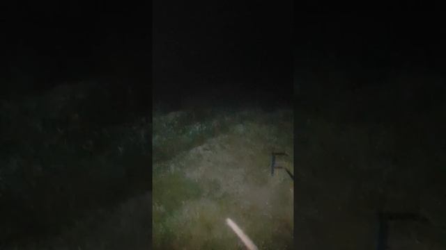 Колонка Sven 650 в ночное время. Тест! смотреть онлайн