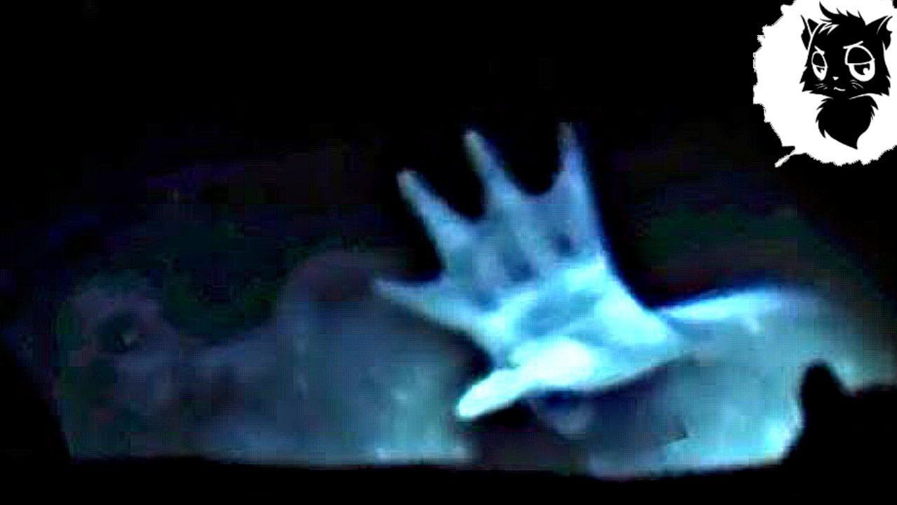 5 СЛУЧАЕВ КОГДА РУСАЛКУ СНЯЛИ НА КАМЕРУ [Черный кот] смотреть онлайн