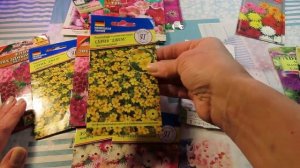 Красивоцветущие цветы, БЕЗ РАССАДЫ, СЕМЕНАМИ, планируем цветник