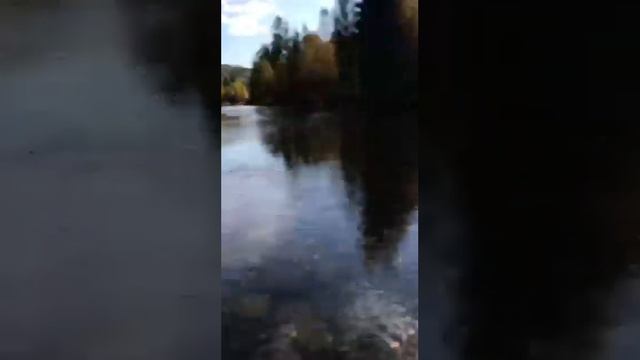 Восточная Сибирь. поездка за брусникой . смотреть онлайн