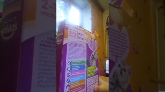 Как ухаживать за кошками 😻😺😽👑 смотреть онлайн