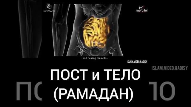 Польза поста смотреть онлайн
