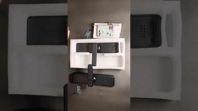 Умный замок SmartLife (Tuya)