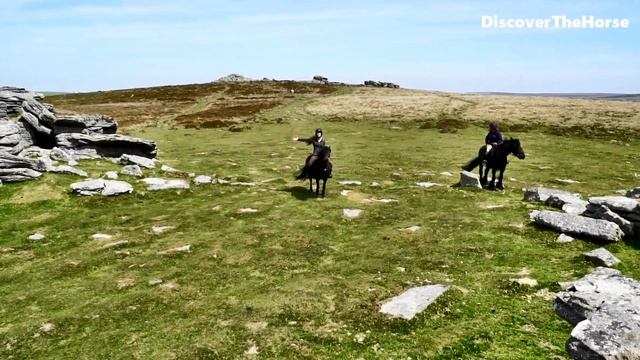 GO RIDING On A Dartmoor Pony!