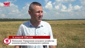 сх уборка зерновых.mp4