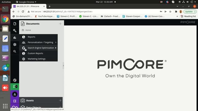 PIMCore Open Source Deployment Service On Linux смотреть онлайн
