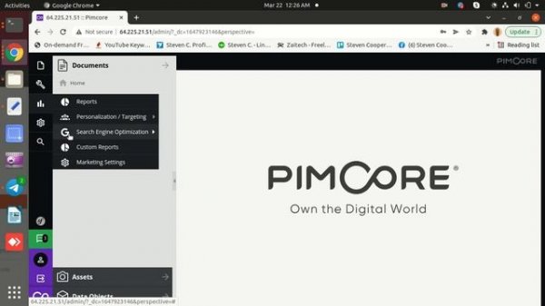 PIMCore Open Source Deployment Service On Linux