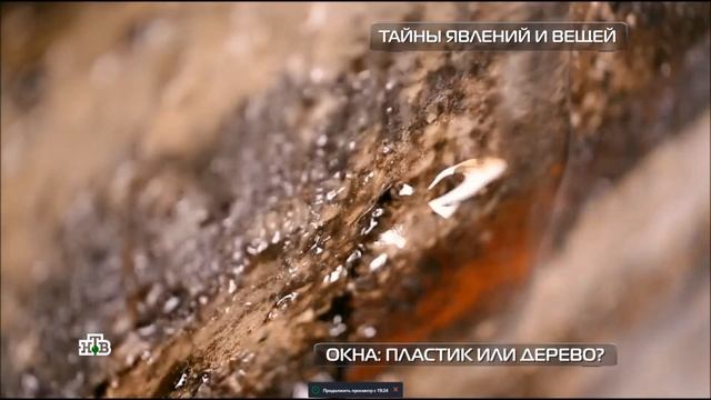 Плесень в жилом помещении, что делать! Профессиональная микробиологическая экспертиза и дезинфекция смотреть онлайн