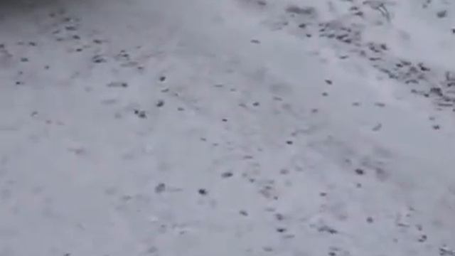 Так строят дороги ПРОФЕССИОНАЛЫ смотреть онлайн