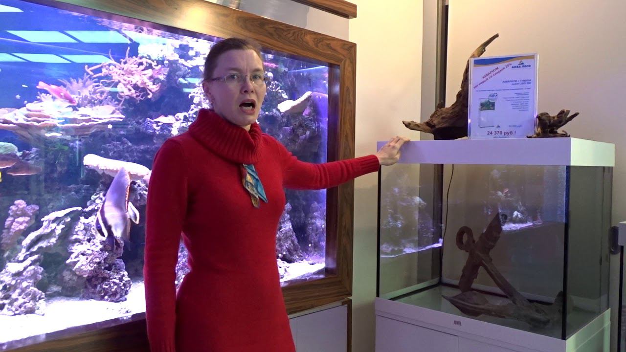 Аквариум Juwel Lido как новый со скидкой 25%! смотреть онлайн