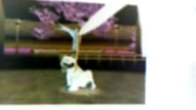 Nintendogs Best Friends Walk with Daigey смотреть онлайн