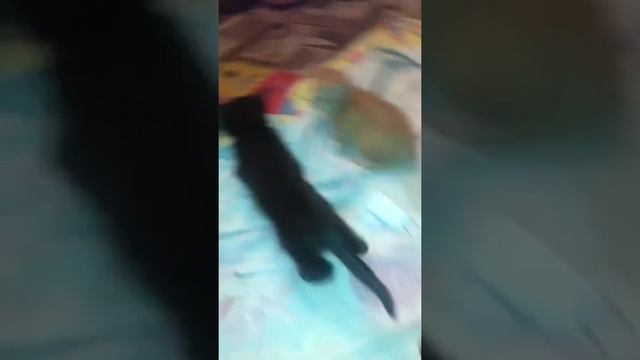 17 декабря 2020 г. смотреть онлайн