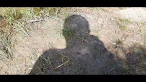 КОГДА же ЛОВИТЬ РАКОВ, НОЧЬЮ или ДНЕМ? Ловля раков на РАКОЛОВКИ. Продажа раколовок.