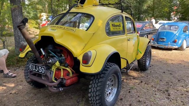 Bug in Finn 2020 смотреть онлайн