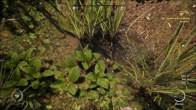 Super Easy Straw Early Game Medieval Dynasty Xbox Series X смотреть онлайн