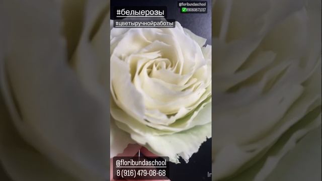 Роза Маркиза Ангелов, белые тюльпаны, желтые кустовые розы из полимерной глины (холодного фарфора) смотреть онлайн