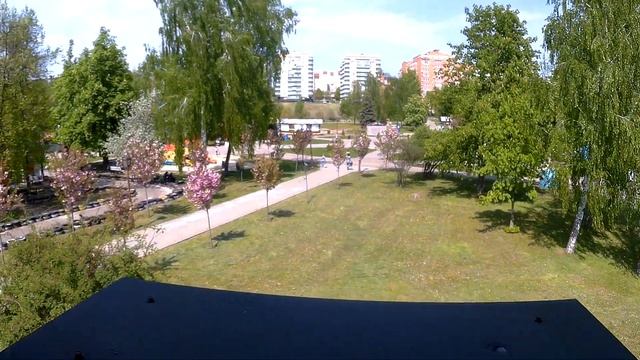 Сакура в цветах парк Сумы 2022 смотреть онлайн