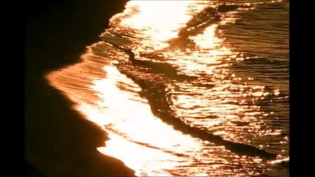 Peace Mantra - Universal Prayer - Sarvesham Svastir Bhavatu смотреть онлайн