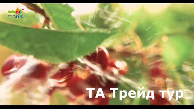 Туры в Вэйхай смотреть онлайн