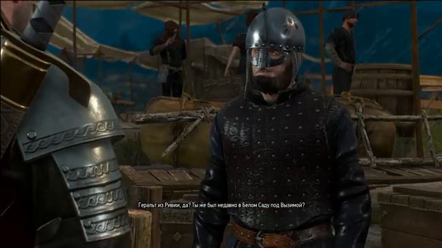 #34 The Witcher 3: Wild Hunt - Семейное дело закрыто смотреть онлайн