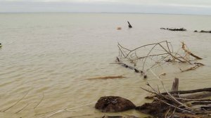 Самый лучший китайский кораблик с GPS автопилотом .Алиэкспресс рулит) Сравнение ч2