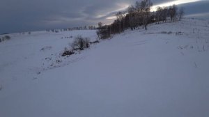 Охота на зайца с Huglu Renova. Добыли куропатку )