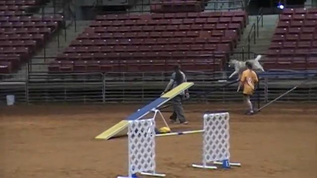 Kayak wins Master Standard 7/3/14 смотреть онлайн