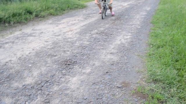 Crash test BMX смотреть онлайн