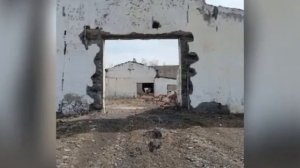 Каролина  - Всё это было . Шаралдай