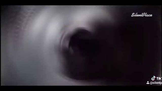 Мы не ангелы / The Untamed смотреть онлайн