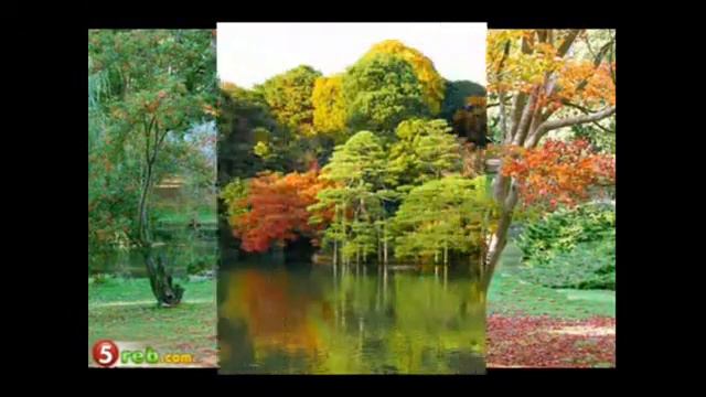Самые красивые сады мира. смотреть онлайн