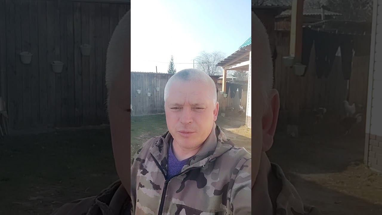 На дворе покров, а у нас лето shorts смотреть онлайн