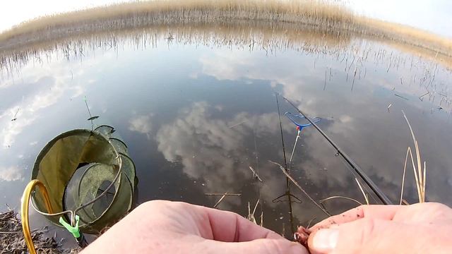 Жирный карась на поплавок, рыбалка с ночевкой смотреть онлайн