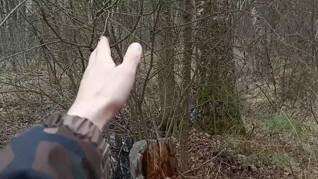 По следам узкоколейной железной дороги. Проба. смотреть онлайн