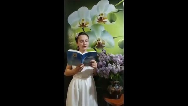 В.А.Рощупкин Город детства. Клёван Полина смотреть онлайн