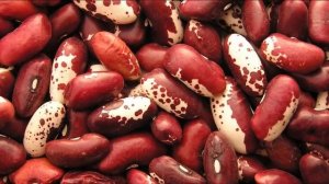 ЕДА ДЛЯ АПОКАЛИПСИСА. У каких продуктов очень долгий срок хранения? (ТОП10)