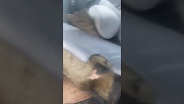 Рено Меган 1 поколения смотреть онлайн