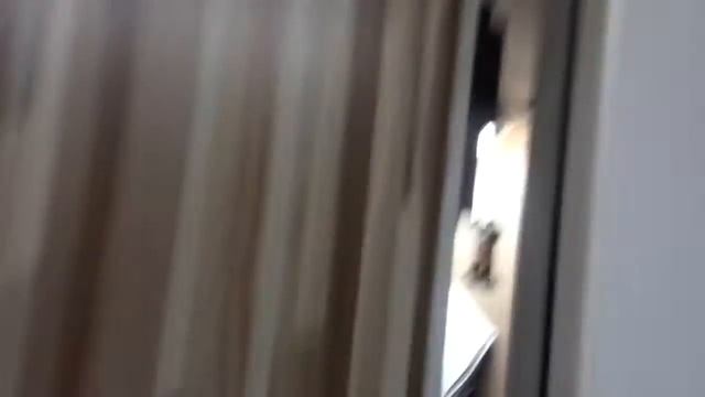 регулировка входной пластиковой двери видео 2 во Владивостоке смотреть онлайн